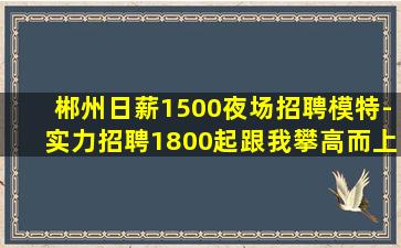 菏泽酒吧招聘